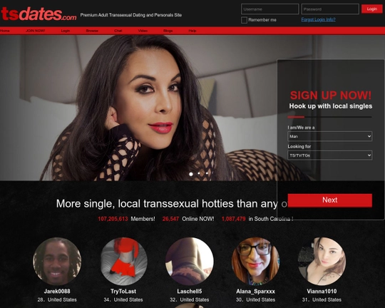 TsDates Logo